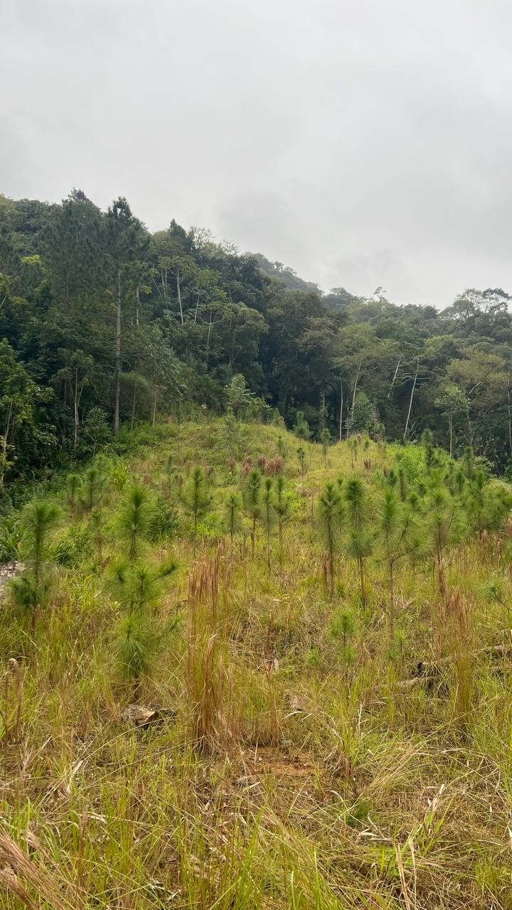 052a5d06-acc8-47ed-9afe-1c78694b8e5a