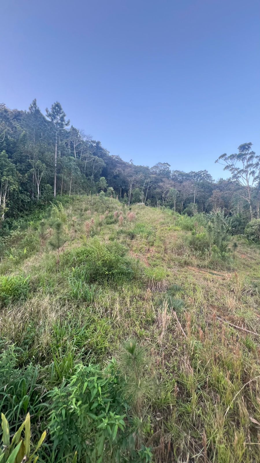 0d4e9f83-0d8a-4230-b6b0-daf2f6b5d7ba