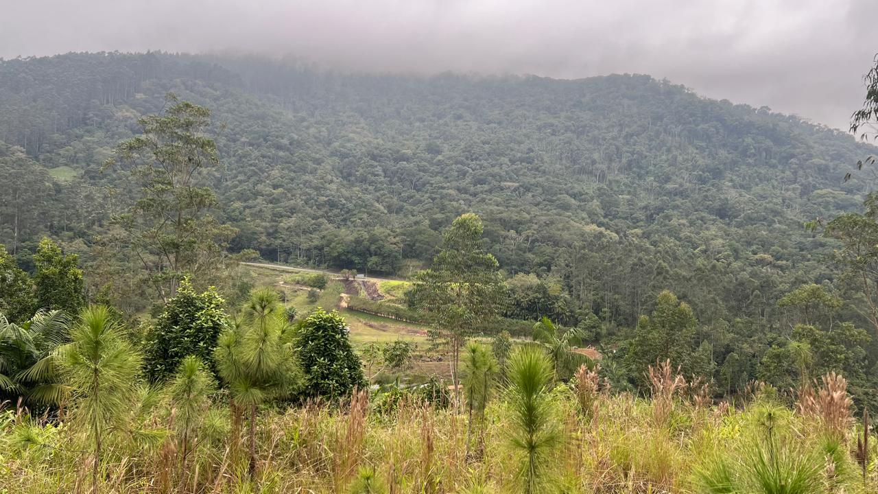 4b391c64-8691-46bf-a163-76e12b4b7f85