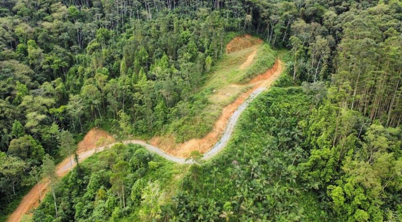 84da031f-95fe-46c9-a9e9-c3a024cb4897