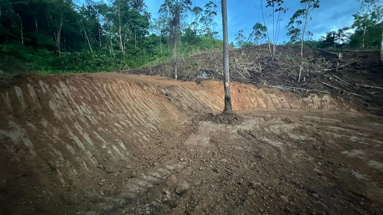 c5023f1f-0fd8-4bc8-8071-4a3ec1175d0c